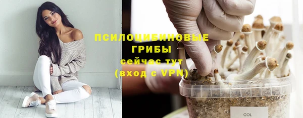 MDMA Premium VHQ Богородицк